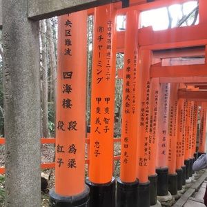 Meet your Posher, Andy